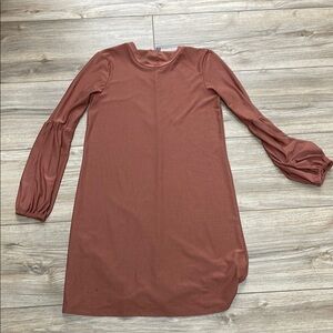 Elegant Brown Long Sleeve Dress